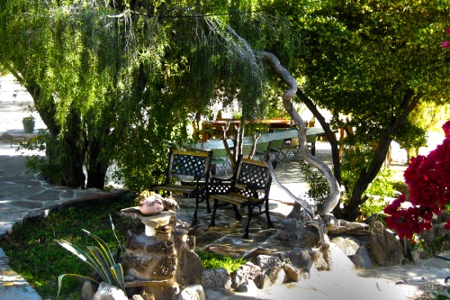 Zebra River5